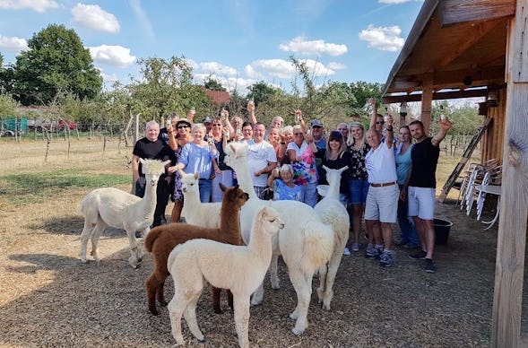 Weintasting auf der Alpakaweide