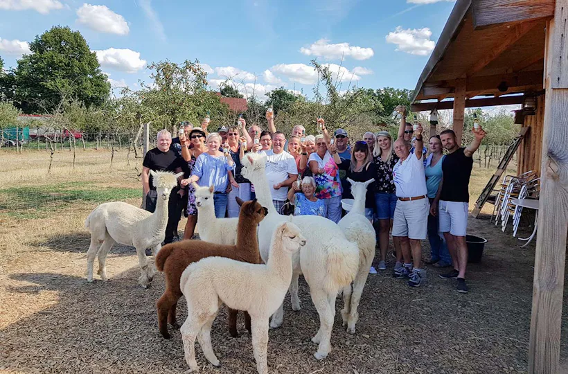Weintasting auf der Alpakaweide