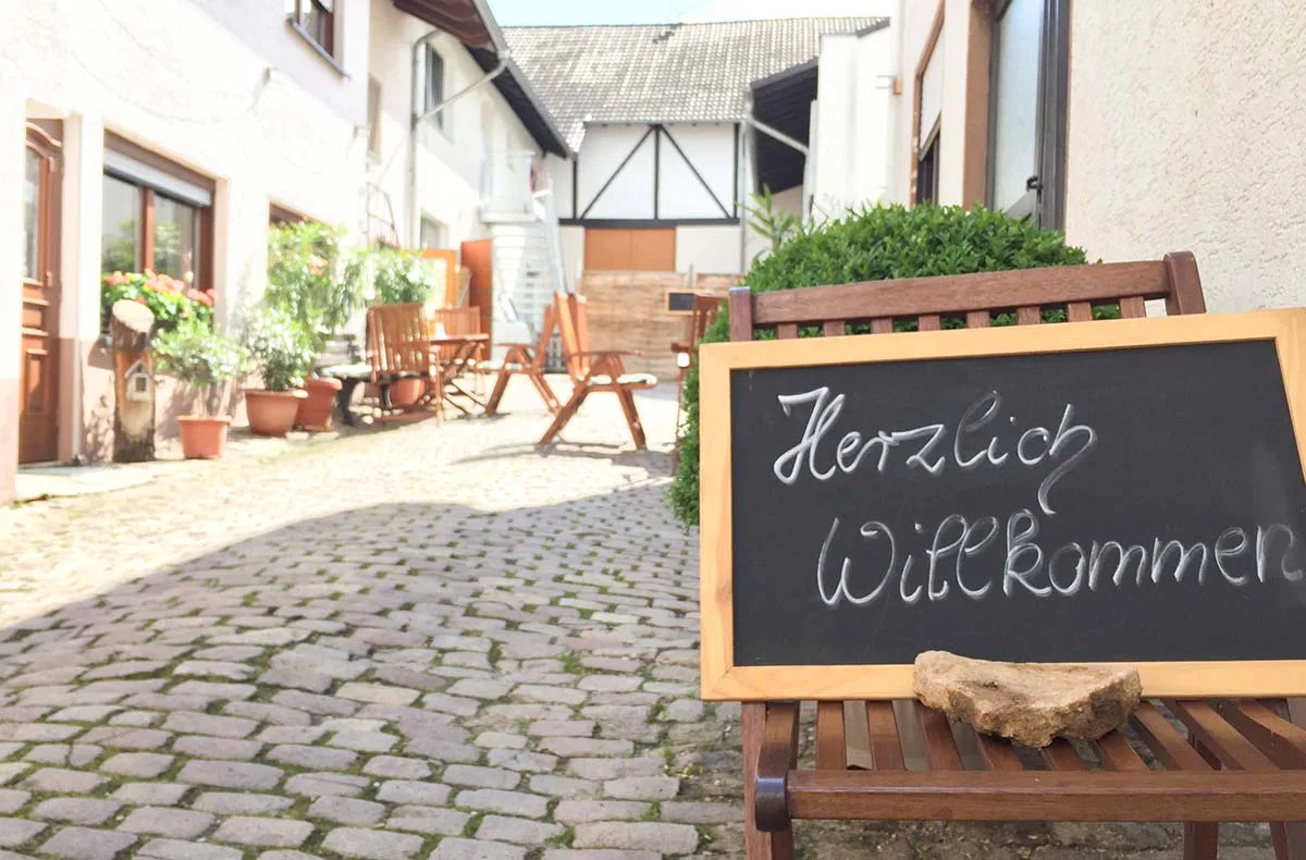 Weinverkostung mit Übernachtung in Rheinhessen für 2 - 7