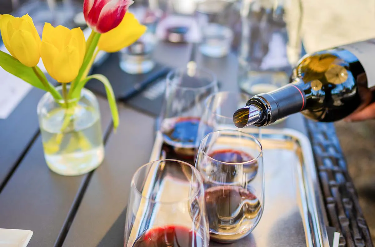 Weinverkostung auf der Zille Regensburg (Mo-Fr) - 2