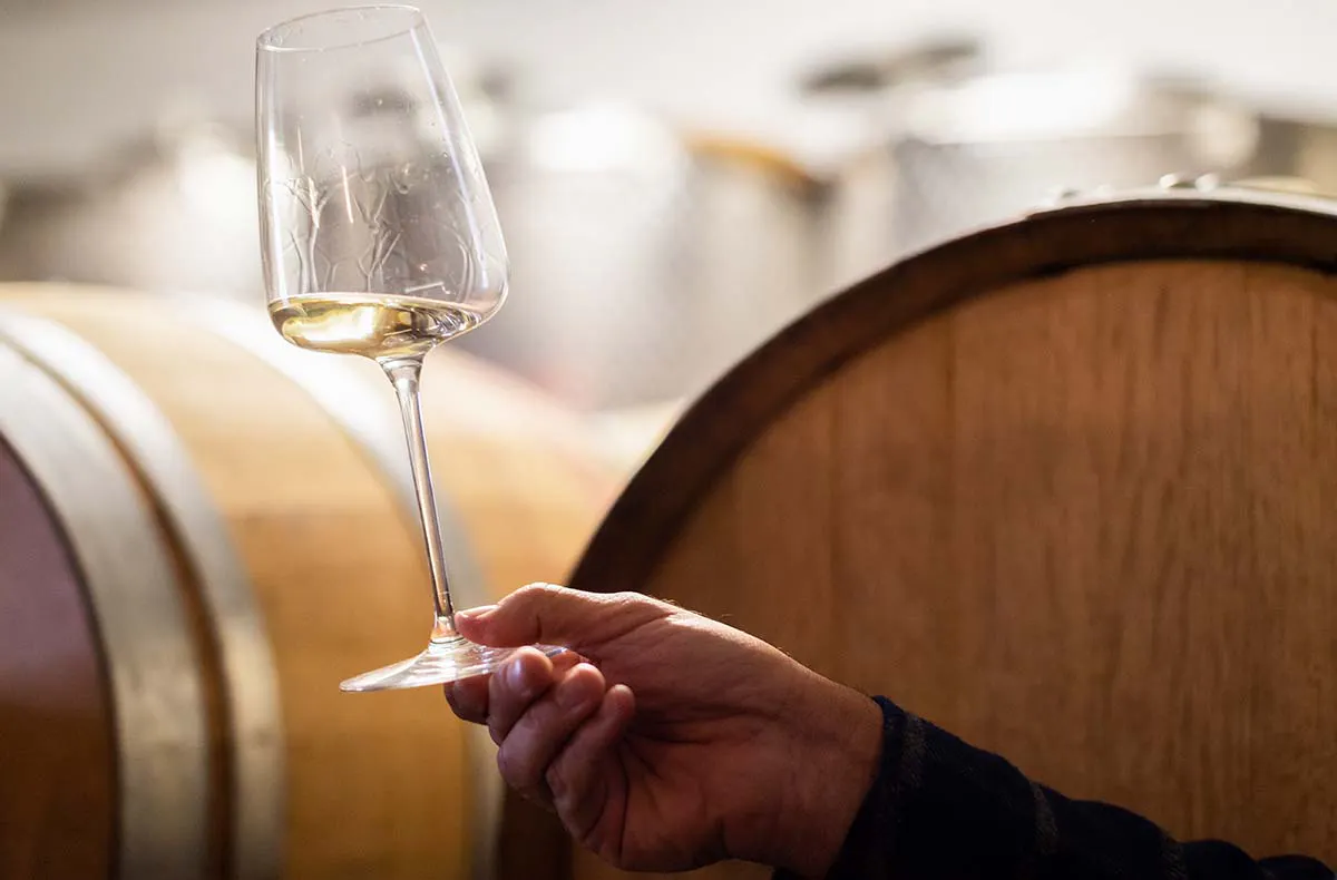 Weinverkostung auf der Zille Regensburg (Mo-Fr) - 3