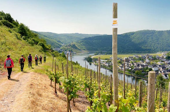 Weinwanderung Cochem