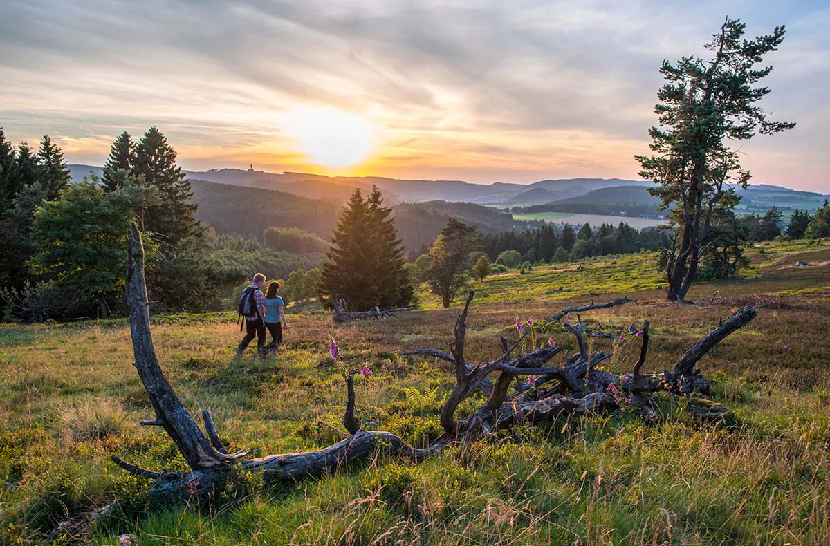 Wellness Kurztrip Lagunenbad Willingen für 2 (1 Nacht) - 9