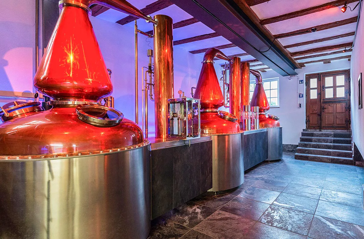 Whisky Tasting für Einsteiger Kappelrodeck - 4